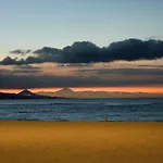 Coral Canteras Las Palmas